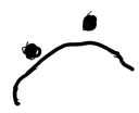 TheFrown