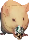 wisecharlie