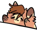 bongotanuki1