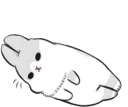 SOrabbit_roll