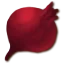 beet