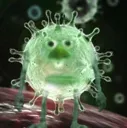 WazowskiVirus WazowskiVirus
