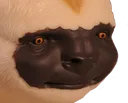 appatoy