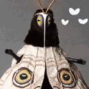:moth: Discord Emote