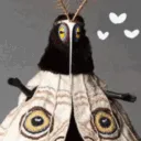 moth