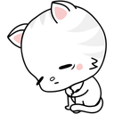 :sad_kitty: Discord Emote