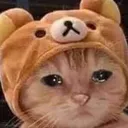 cryingbearcat cryingbearcat