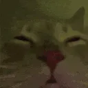 hello