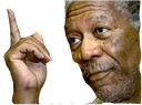 66 66