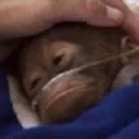 mommaimtired