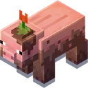muddy_pig