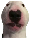 walter