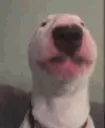 Walterdance