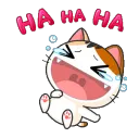 DA5FB50CCC49402888C38B184FFA31F8