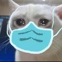 Sick Cat Discord Emoji