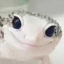 smile