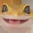 cute