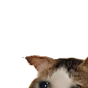 wescared