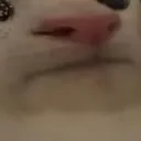 ct12 ct12
