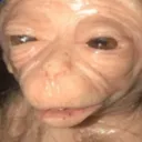 zoom zoom
