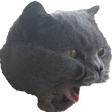 oofleiPog
