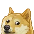 doge