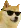 cooldoge