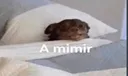 mimir