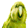 PartyParrot Discord emoji