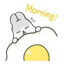 rabbit_morning