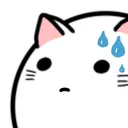 sweatmeow