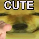 CUTE
