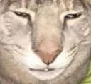 mm