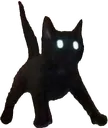 zoomyboi