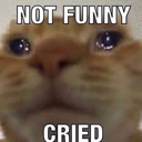 JK_cried Discord emoji