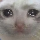 sadcat sadcat