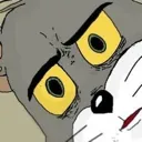 tomface