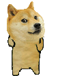 Doggo