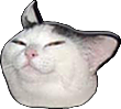 CatSmug Discord emoji