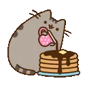 PusheenCakes