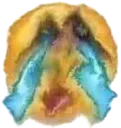 ce_brokencry ce_brokencry