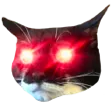 maeganLaser