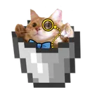 kitteh