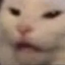 SmudgeConfused SmudgeConfused