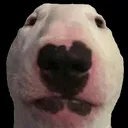 Walter
