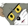 39 39