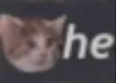 he