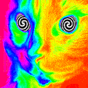 hypnocat Discord Emoji
