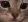 Cat Stare cat_stare Discord Emoji