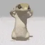 lizarddance
